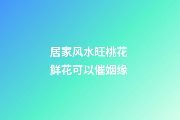 居家风水旺桃花 鲜花可以催姻缘